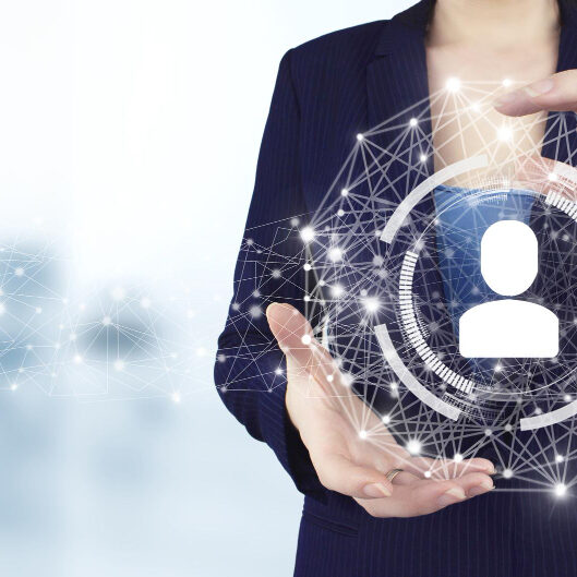 microsoft dynamics business solutions