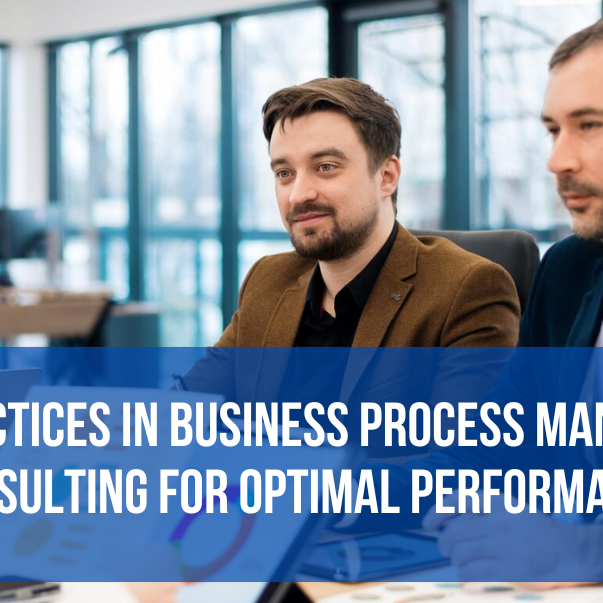 blog-2 Business Process Consultant