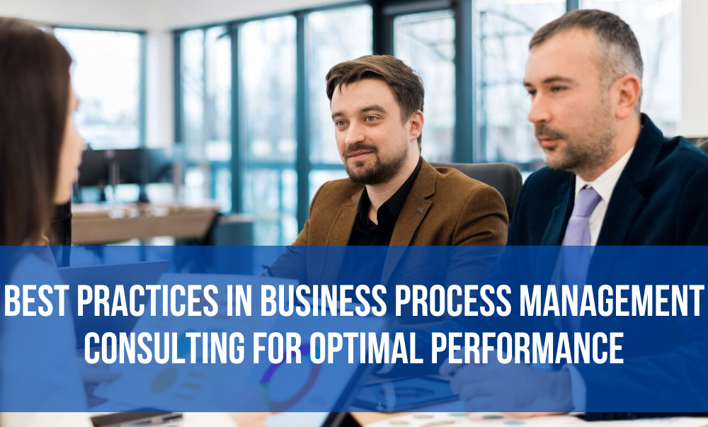 blog-2 Business Process Consultant